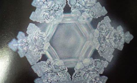 Dr. Masaru Emoto's Water Experiment | Motherhaus LLC