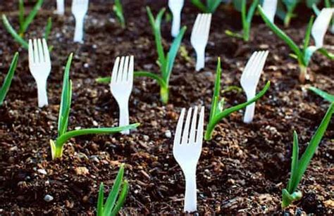 She Puts Forks In Her Garden To Solve A Common Problem: 5 Genius Ideas ...