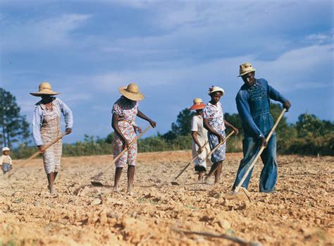 The Black sharecroppers of the American South through old photographs ...