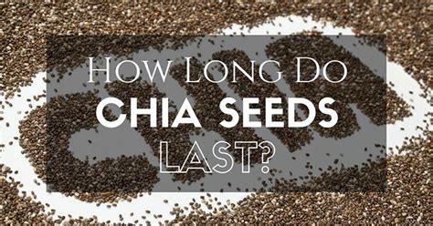 Everything You Need to Know About How Long Do Chia Seeds Last - Stay Healthy Ways