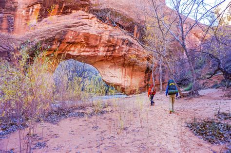 What to Expect When Hiking Utah's Coyote Gulch