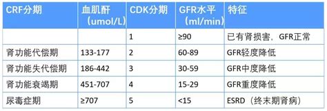 正确认识肌酐升高的临床意义，不同阶段应该如何应对_凤凰网健康_凤凰网