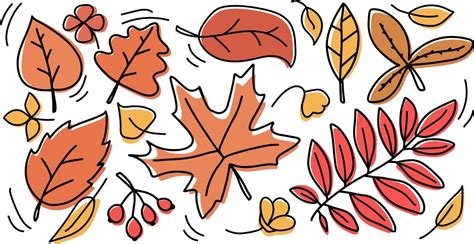 Autumn yellow and orange leaves set. Isolated on white background vector illustration. Trees ...