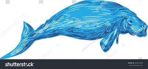 Drawing Sketch Style Illustration Dugong Marine Stock Vector (Royalty ...