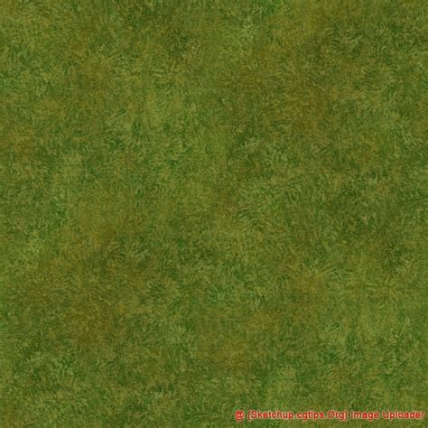 1926 Grass Textures Sketchup Model Free Download