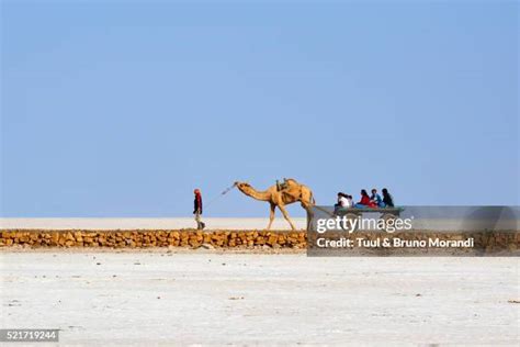 157 Kutch Salt Desert Stock Photos, High-Res Pictures, and Images ...