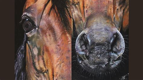 Realistic Horse Painting