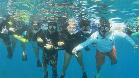 Hanauma Bay Guided Snorkeling Tour in Honolulu | Pure Aloha Adventures