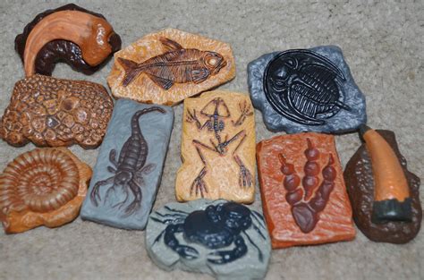 Safari Ltd. Ancient Fossils TOOBS - Great for Fossil Birthday Parties