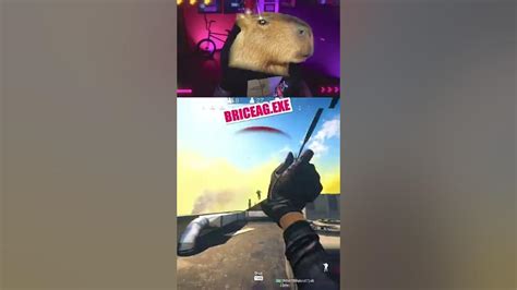 WHAT IS THIS CAPYBARA MEME - Call of Duty: Warzone - YouTube