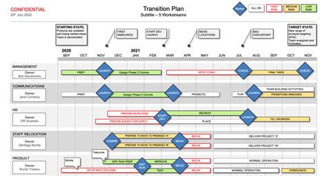 Business Process Transition Plan Template – PARAHYENA