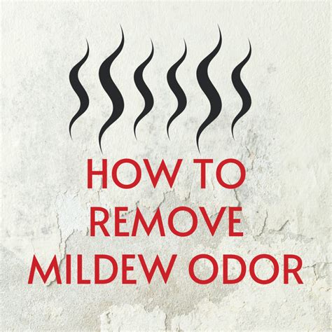 How to Remove Mildew Smell | Reynolds Restoration