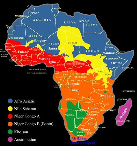 Language families spoken in Africa - Vivid Maps