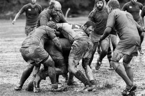 The perspective of the seriously injured rugby player: lessons for ...