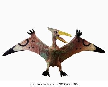 Pterodactyl Wingspan Stock Illustration 2005925195 | Shutterstock