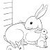 Best Of Bunny Rabbits Coloring Pages Ideas ~ Best Coloring Pages For Kids