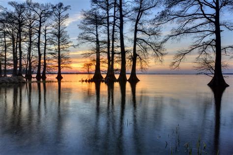 Shaped By Water and Earth: Lake County, Tennessee - Lake County, Tennessee