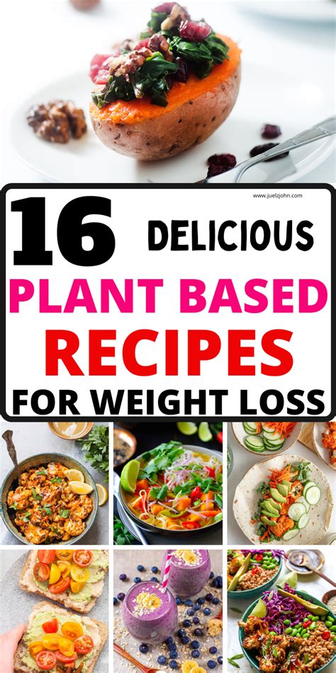 16 Best plant based recipes that'll wow everyone - juelzjohn