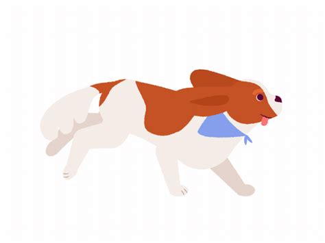 Dog run cycle by Katerina Tereshkova on Dribbble