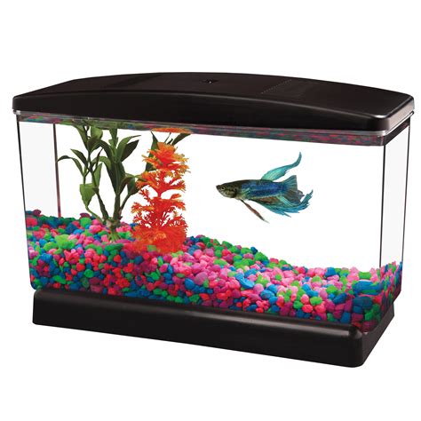 Fish - Walmart.com