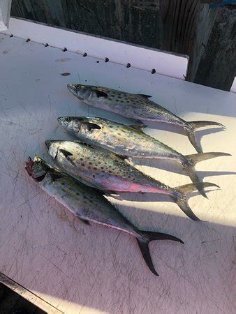 Murrells Inlet Fishing Charters - 2019 All You Need to Know BEFORE You Go (with Photos ...