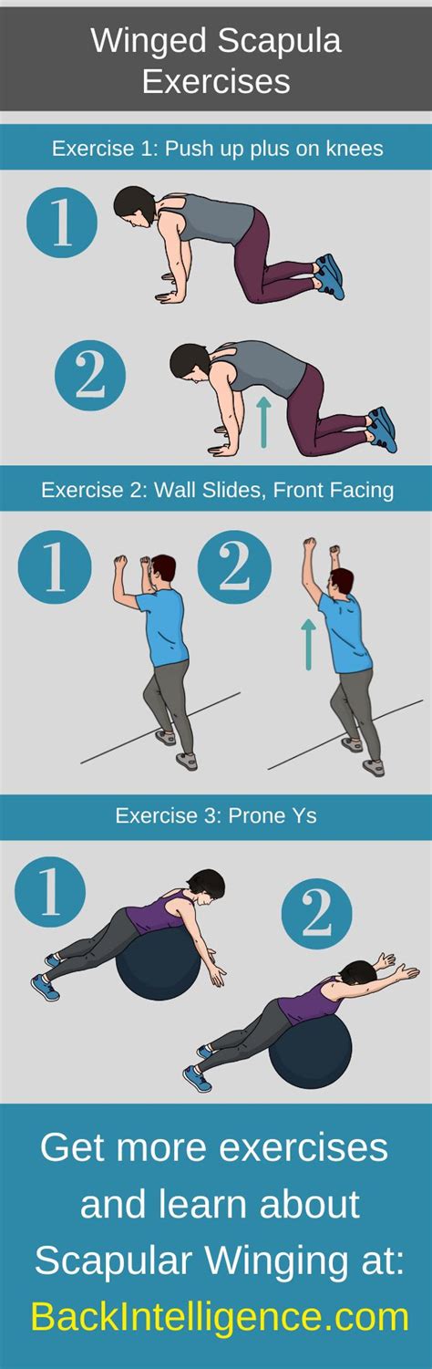 Winged Scapula Exercises, Causes and Symptoms | Scapula exercises, Winged scapula exercises ...