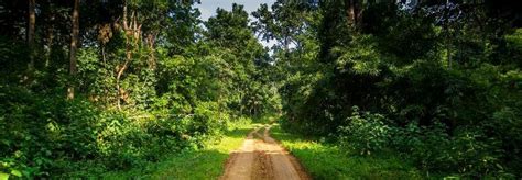 Tips For Wildlife Safari | Pench National Park