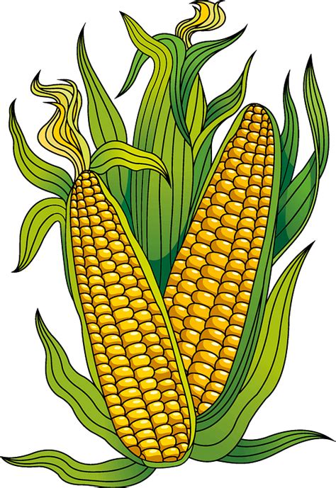 Harvest Corn Clip Art