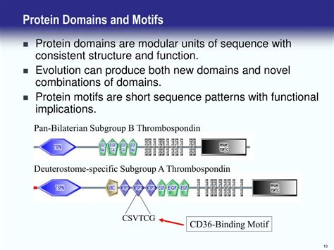 PPT - Introduction to Protein Sequence Analysis - Charlie Whittaker ...