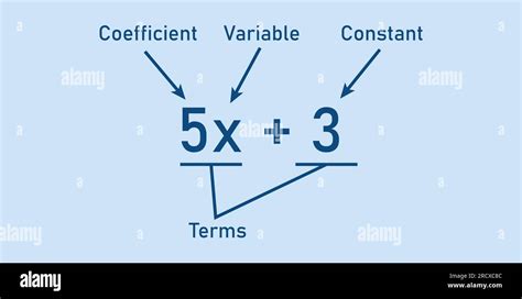 Algebraic expressions parts in mathematics. Coefficient, variable, constant and terms. Parts of ...