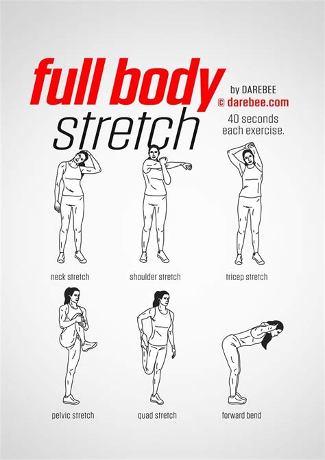 Full Body Exercise Routine At Home | Stretches before workout, Office exercise, Workout warm up