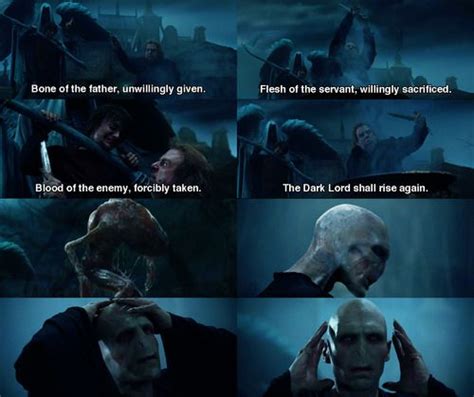 Harry Potter And The Goblet Of Fire Voldemort Vs Harry