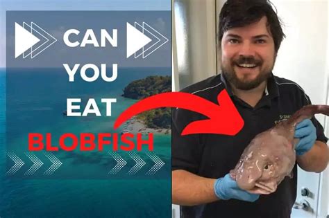 Can You Eat Blobfish? Are Blobfish Poisonous?