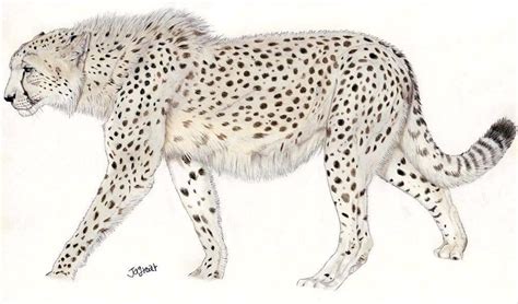 Giant Cheetah (Acinonyx pardinensis) | The Giant Cheetah (Ac… | Flickr