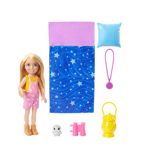 Buy a Barbie It Takes Two Camping Doll With Pet Owl & Accessories ...