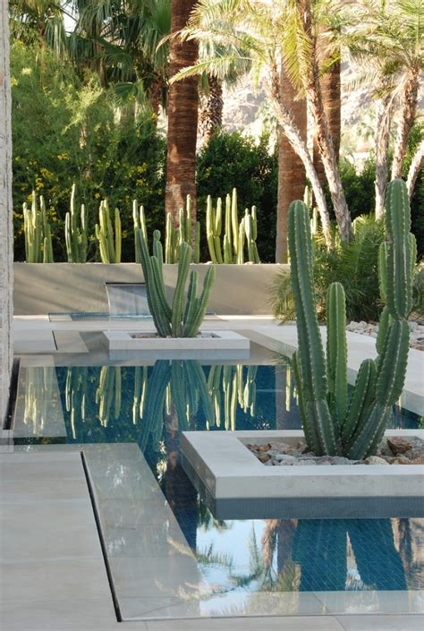 36 Cactus Garden Design Ideas : Landscaping with Cactus and Rocks