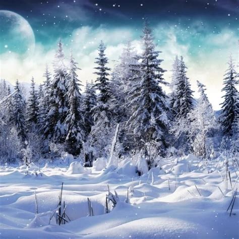 10 New Winter Wonderland Screensavers Free FULL HD 1080p For PC Desktop 2024