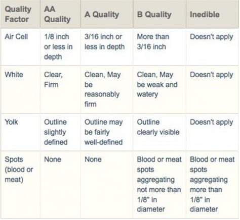 How to Grade Eggs - Egg Grading and Sizing - | EggCartons.Com