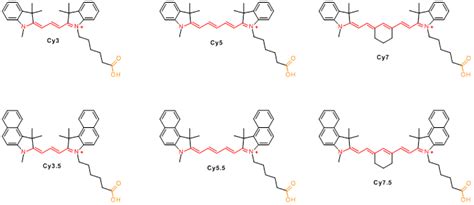 Introduction to the classification and characteristics of Cyanines series fluorescent dyes - Blog