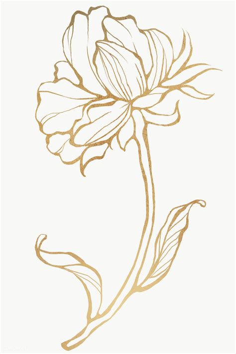 Download premium illustration of Gold flower outline transparent png ...