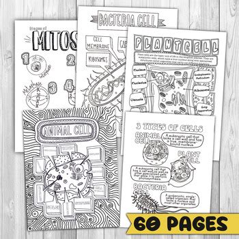 Life Science Year Bundle- 60 Awesome Science Doodle Coloring Pages