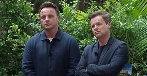 I'm A Celebrity news: Ant and Dec didn't speak to Gillian off camera