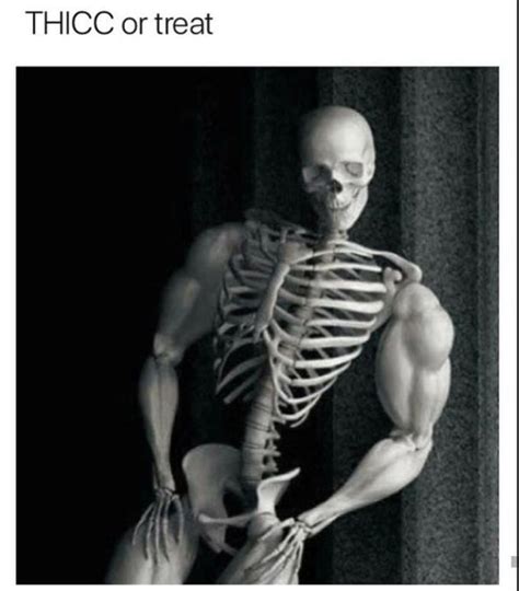 thicc or treat | Thicc or Treat/ Buff Skeleton | Know Your Meme