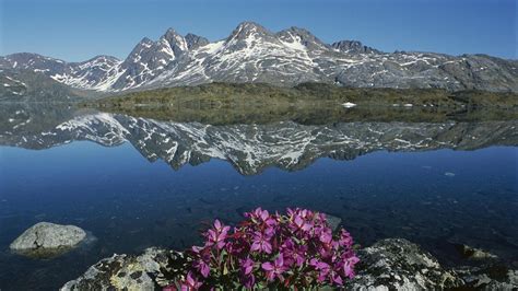 Greenland Landscape Wallpapers - Top Free Greenland Landscape ...