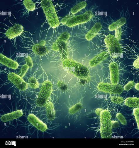 Pathogenic Salmonella Bacteria, Microbiological research Stock Photo - Alamy