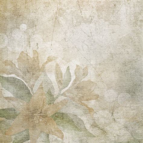 Old Paper with Flowers Background. Stock Illustration - Illustration of ...