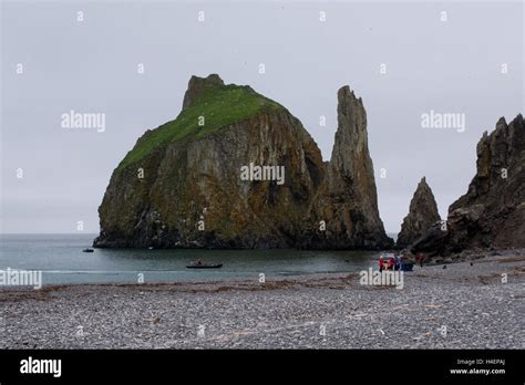 Alaska, Bering Sea, Alaska Maritime National Wildlife Refuge, St. Matthew Island (60-33-64N 172 ...