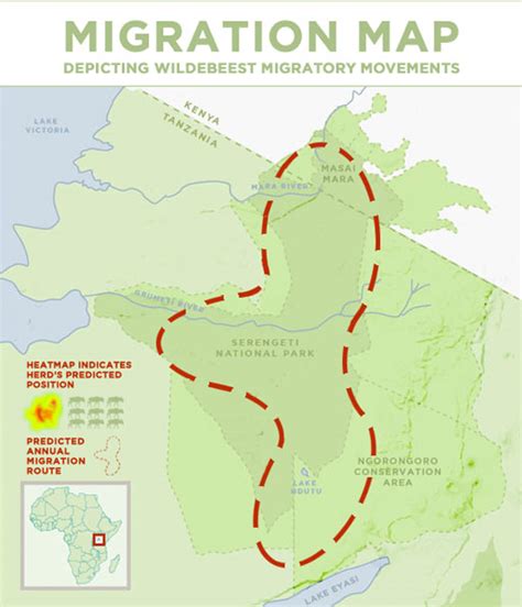 Wildebeest Migration Tracker | Geography 250