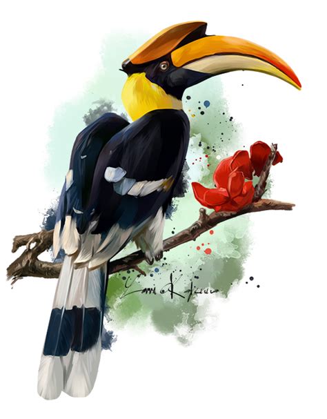 Hornbill by https://www.deviantart.com/kajenna on @DeviantArt | Art tutorials watercolor, Art ...