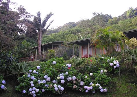 Monteverde Cloud Forest Lodge | Audley Travel UK